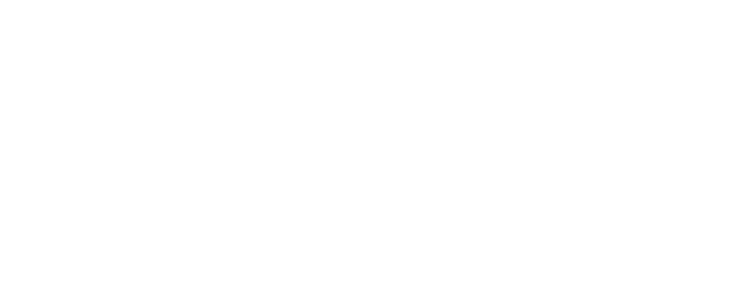 DonAI Logo Branco